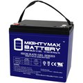 Mighty Max Battery 12V 55AH GEL Replacement Battery for Apex APX12-55 MAX3944073